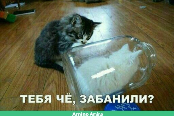 Ссылки мега кракен
