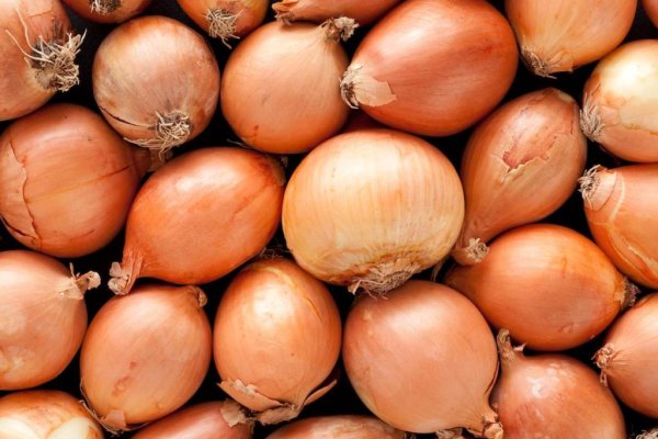 Кракен даркнет купить