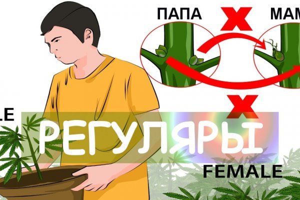 Кракен ссылка kr2link co